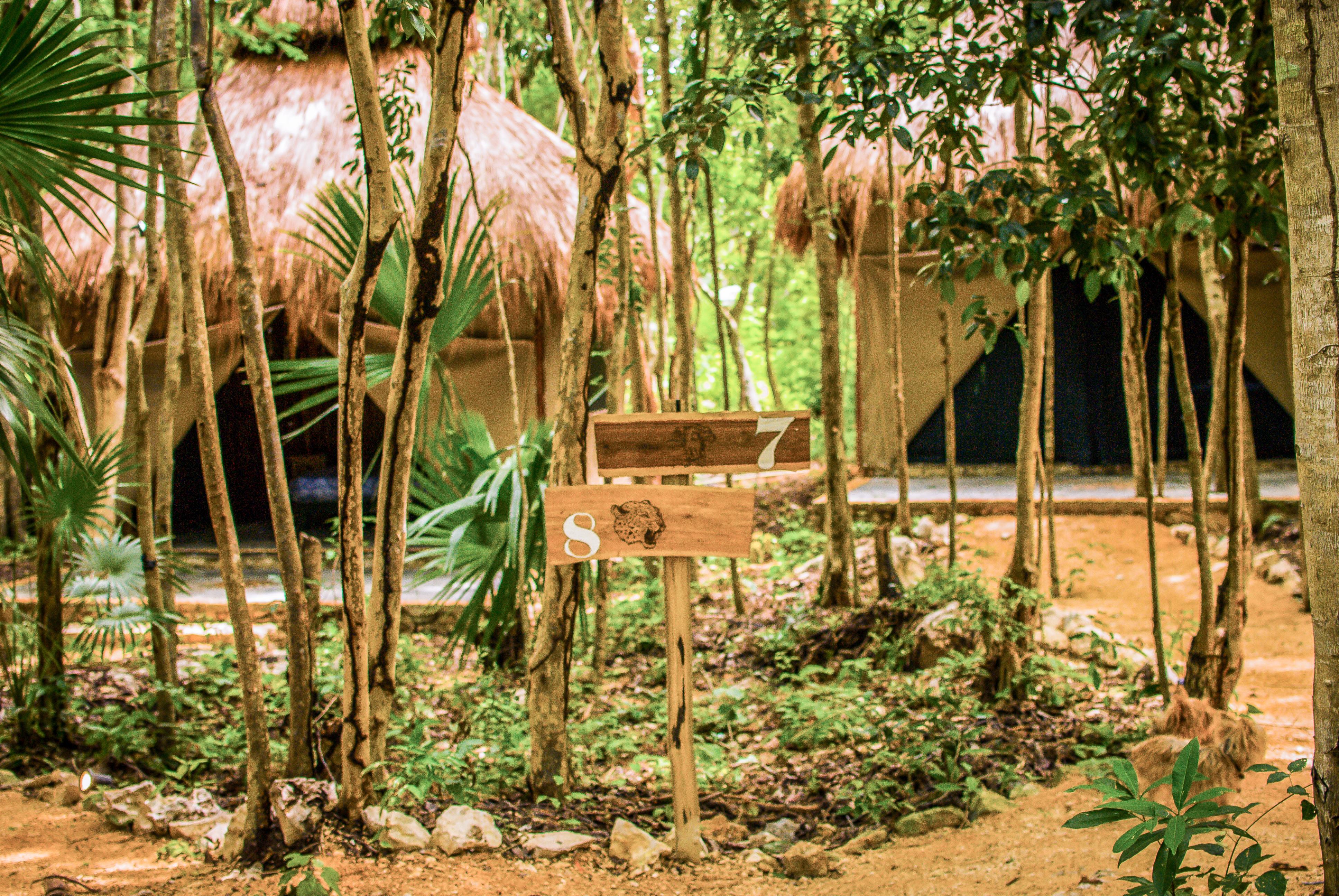 Akumal Natura Glamping Hotel Eksteriør billede