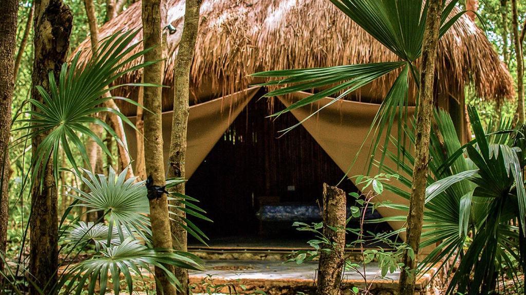 Akumal Natura Glamping Hotel Eksteriør billede